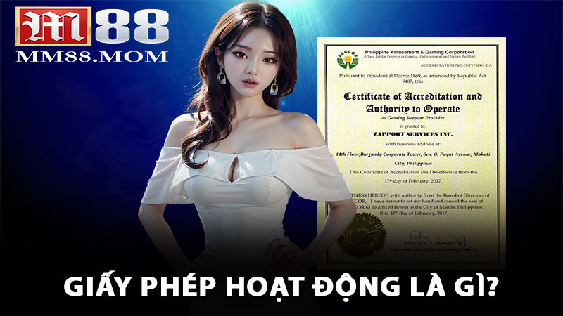 Giấy phép hoạt động là gì?