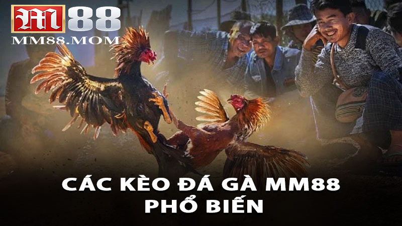 Các kèo đá gà MM88 phổ biến