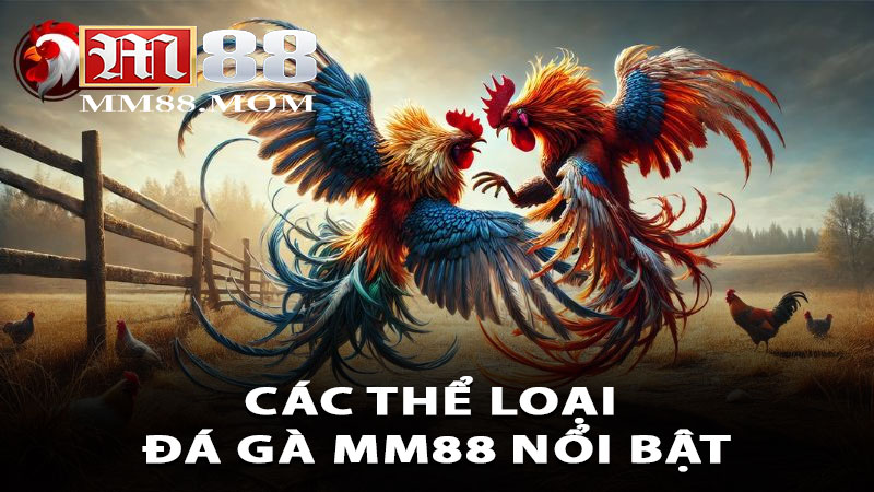 Các thể loại đá gà MM88 nổi bật