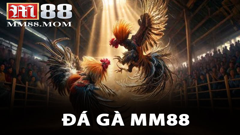 Đá Gà MM88