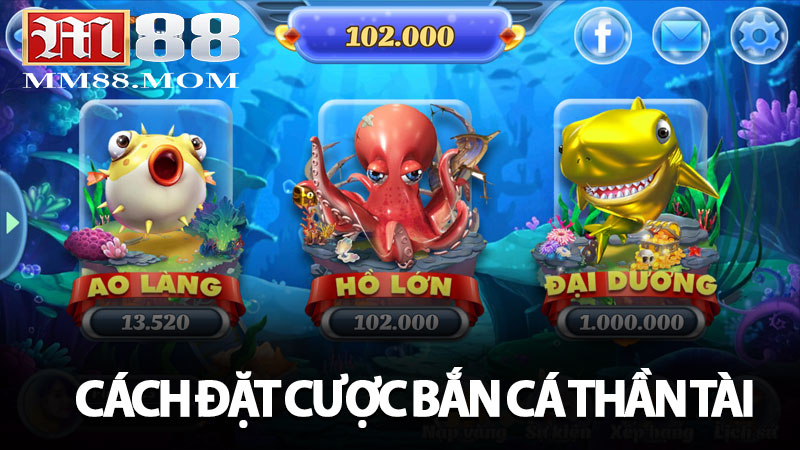Những điều quan trọng cần biết về cách đặt cược bắn cá Thần Tài