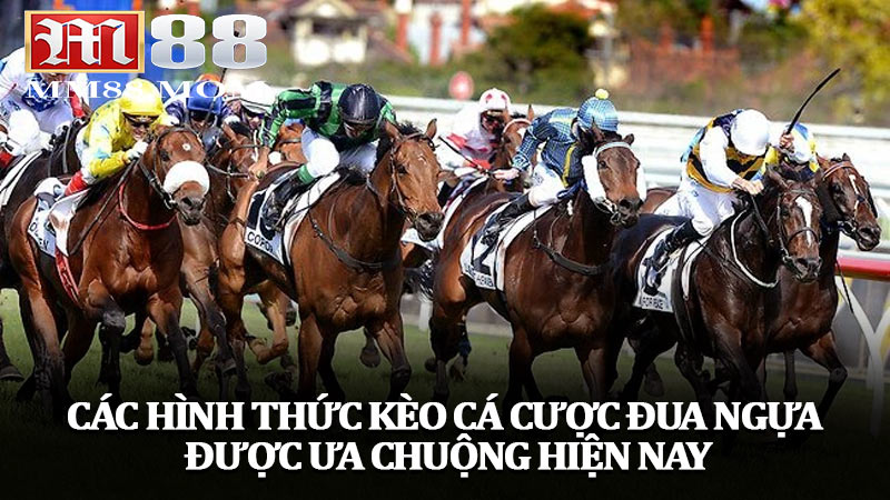 Các hình thức kèo cá cược đua ngựa được ưa chuộng hiện nay