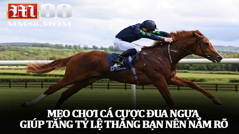 Mẹo chơi cá cược đua ngựa giúp tăng tỷ lệ thắng bạn nên nắm rõ
